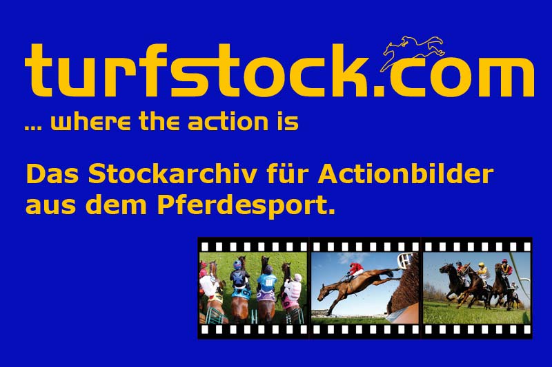 Werbebanner-turfstock-800x533_blue