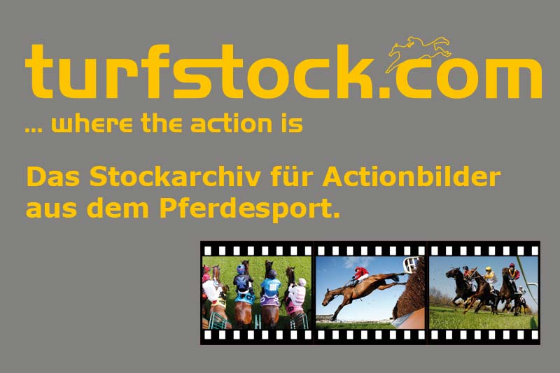 Werbebanner-turfstock-800x533_grey