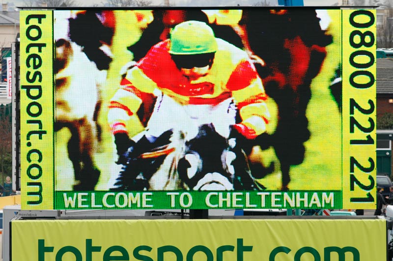 Feature Cheltenham © turfstock.com/Balogh