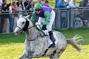 Grey Power 2009. © turfstock.com