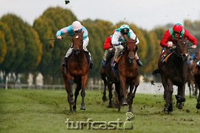 Djumama gewinnt die Winterkoenigin © turfstock.com/Balogh