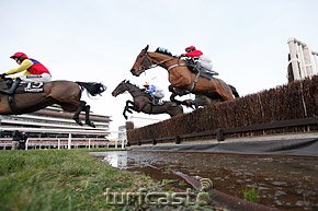 Diamond Harry springt den Wassergraben © turfstock.com/Balogh