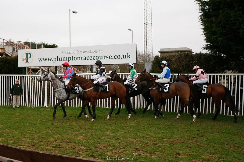 Reiter und Pferde vor dem Start in Plumpton. © turfstock.com/Balogh 