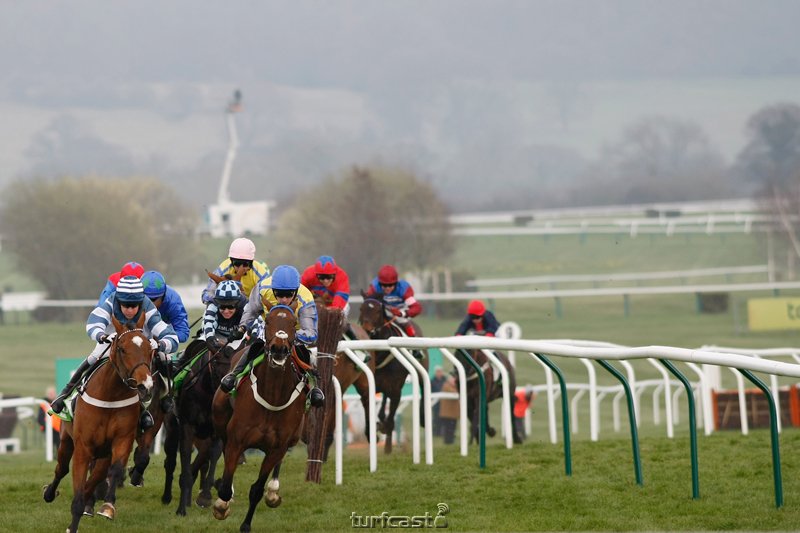 Peddlers Cross im Champion Hurdle 2011. © turfstock.com/Balogh 