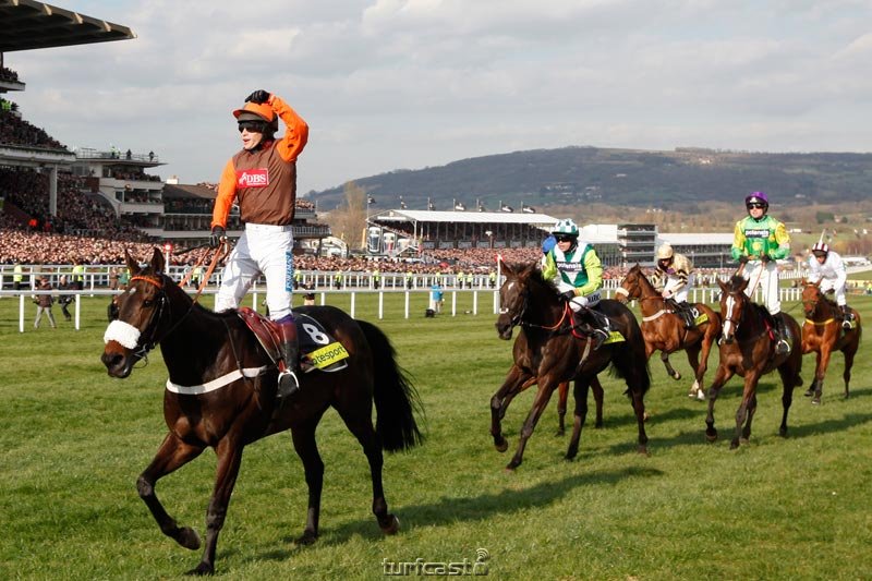 Sam Waley-Cohen und Long Run gewinnen den Gold Cup. © turfstock.com
