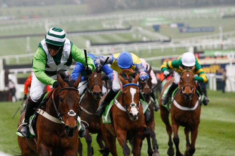 Rock on Ruby in Cheltenham 2012 © turfstock.com/Balogh