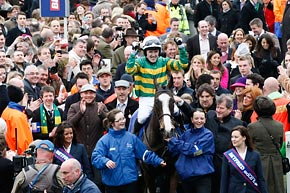 Synchronised in Cheltenham 2012 © turfstock.com/Balogh