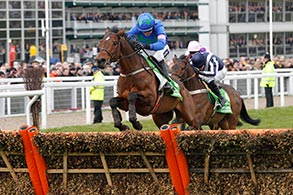 Hurricane Fly in Cheltenham 2013. @ turfstock.com