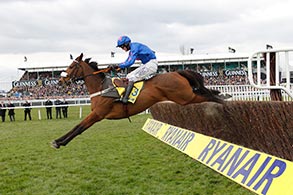 Cue Card in Cheltenham 2013. @ turfstock.com