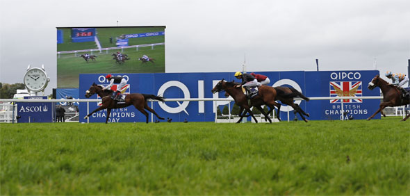 18.10.2014 - Ascot; Forgotten Rules, ridden by Pat Smullen wins the Qipco British Champions Long Distance Cup (Group 2). Second place: Biographer, ridden by George Baker (yellow cap). Third place: Pallasator, ridden by Andrea Atzeni (red silks). Credit: Lajos-Eric Balogh/turfstock.com