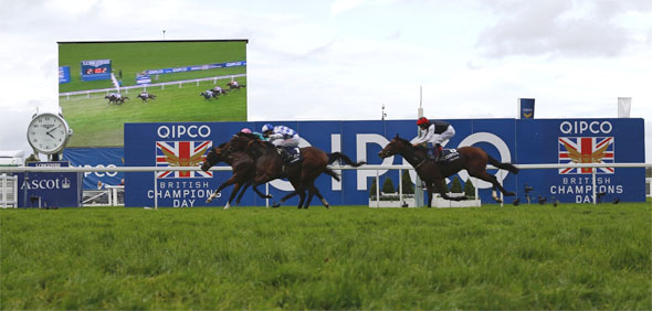 18.10.2014 - Ascot; Noble Mission, ridden by James Doyle (inside) wins the Qipco Champion Stakes (British Champions Middle Distance) (Group 1). Second place: Al Kazeem, ridden by George Baker. Third place: Free Eagle, ridden by Pat Smullen. Credit: Lajos-Eric Balogh/turfstock.com