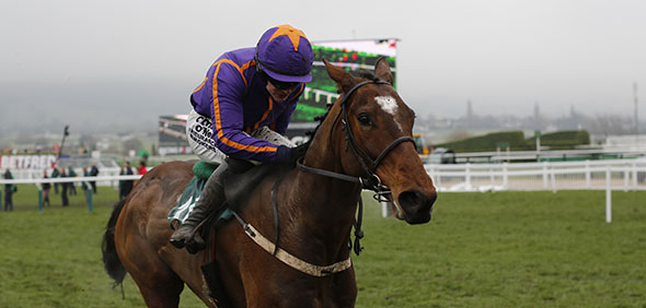 13.03.2015 - Cheltenham; Wicklow Brave ridden by Paul Townend wins the Vincent O´Brien County Handicap Hurdle Grade 3. Credit: Lajos-Eric Balogh/turfstock.com