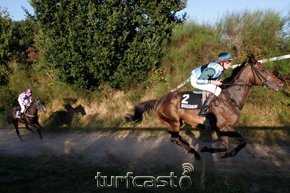 Allegan auf dem Iffezheimer Berg. © turfstock.com/Balogh