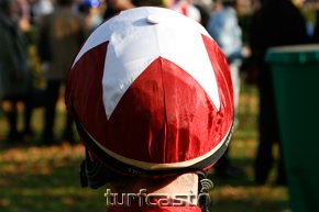Rennfarben von Darley Stud. © turfcast.net darley_20081019muc-0174