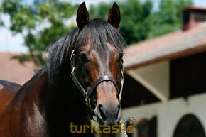 desert_prince_20080628isar-0025