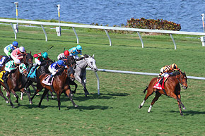 Impressionen Florida Derby Tag by K.L.Fabris/ragazin.com