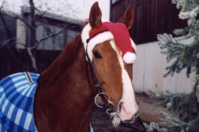 limit_weihnachten