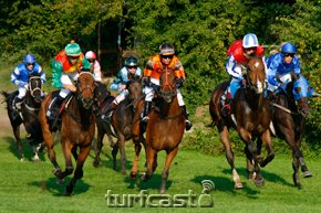 pferde_20080831bad-0336