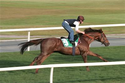 trackwork-monday-24-2009_24quijano.jpg