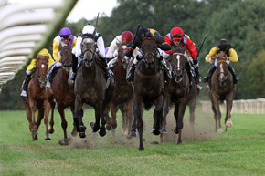 Galopp in Hannover © galoppfoto.de/Brose