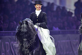 Black and White Pferdegala