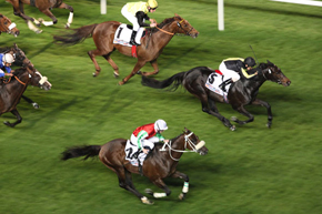 quijano_meydan2010