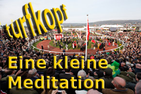 Kolumne_hemke_cheltenham