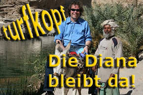 kolumne_hemke_diana