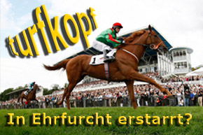 Hemke Label Preis der Diana 2011 © turfstock.com/Balogh