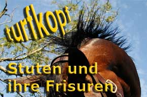 Hemke Label Frisur © turfstock.com/Balogh