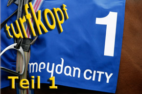 Hemke Label Meydan1 © turfstock.com/Balogh