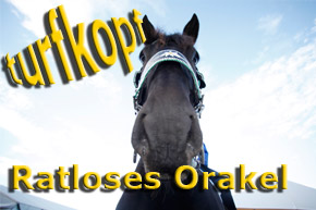 Hemke Label Orakel © turfstock.com/Balogh