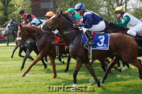 Symbolbild Start. © turfstock.com/Balogh