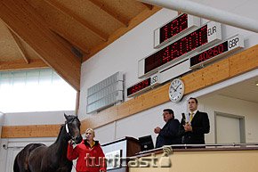 Symboldbild Auktion © turfstock.com/Balogh