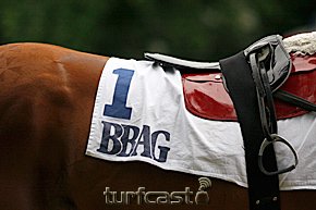 Symbolfoto BBAG © turfstock.com/Balogh