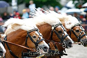 20100620muc_deu_405