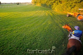 Symbolbild Start verpasst © turfstock.com/Balogh