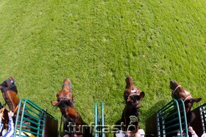 Symbolbild Start. © turfstock.com/Balogh