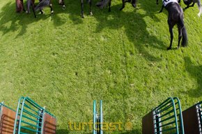 Symbolbild Start. © turfstock.com
