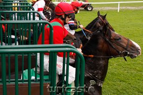Symboldbild Start. © turfstock.com/Balogh