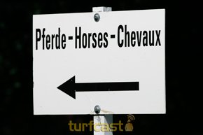 Symbolbild Wegweiser. © turfstock.com