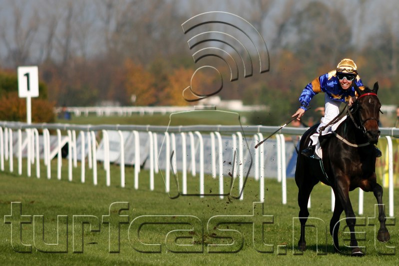 20091101MUC_DEU_0015_crop.jpg