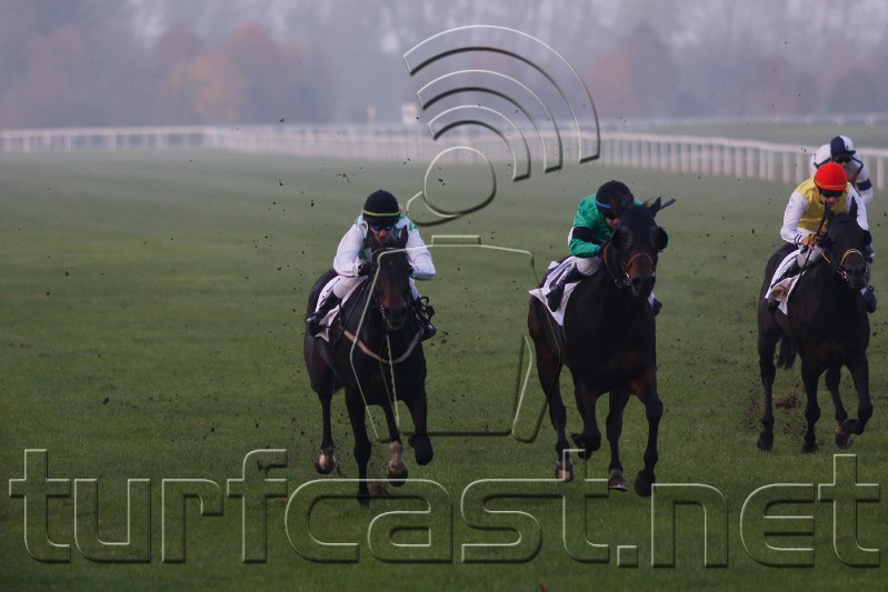 20091101MUC_DEU_0307_crop.jpg