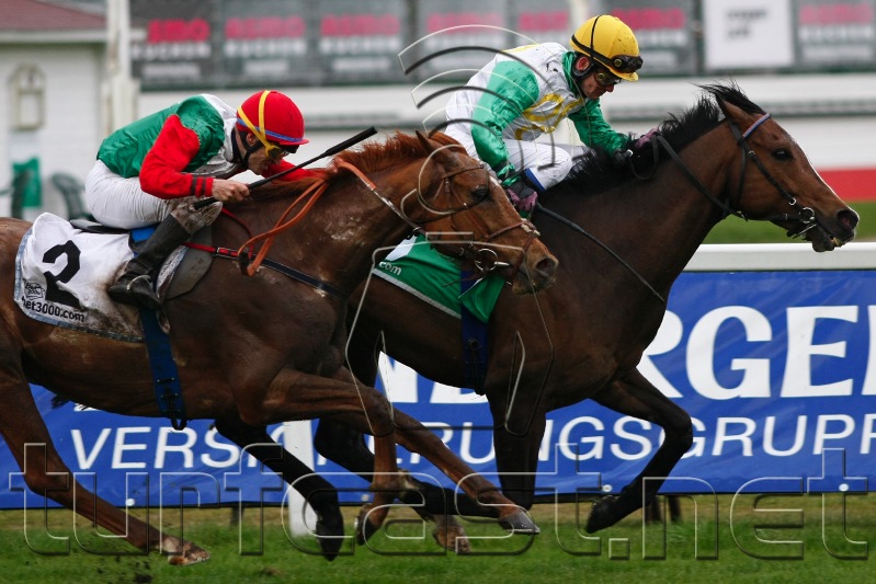 20100418Muc_DEU_537_crop.jpg