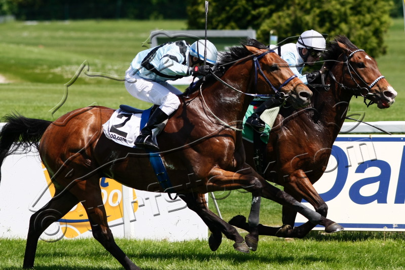 20100524Muc_DEU_104_crop.jpg