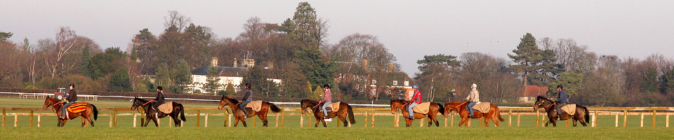 Turfcast header image 9