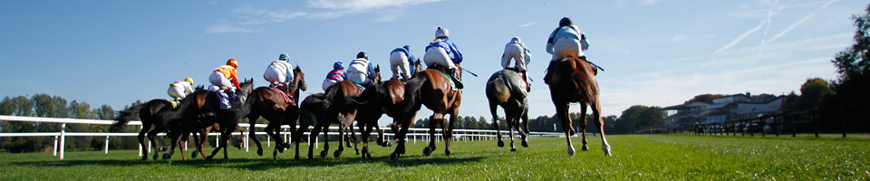 Turfcast header image 1