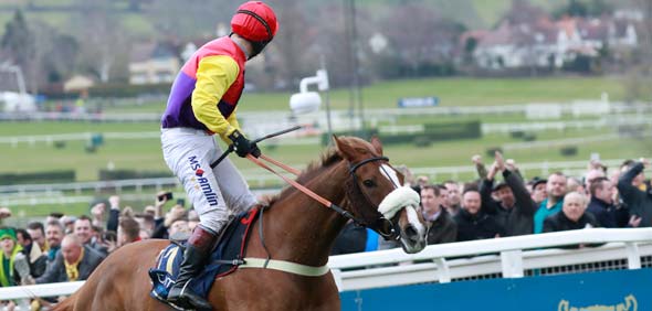 16.03.2018 - Cheltenham; Native River ridden by a jubilant Richard Johnson wins the Timo Cheltenham Gold Cup Chase Grade 1 at Cheltenham-Racecourse/Great Britain. Credit: Lajos-Eric Balogh/turfstock.com